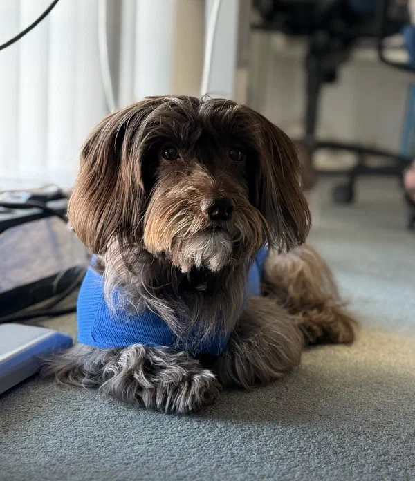 Leo